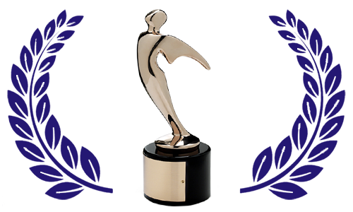 Bronze Telly Award