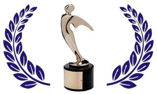 Bronze Telly Award